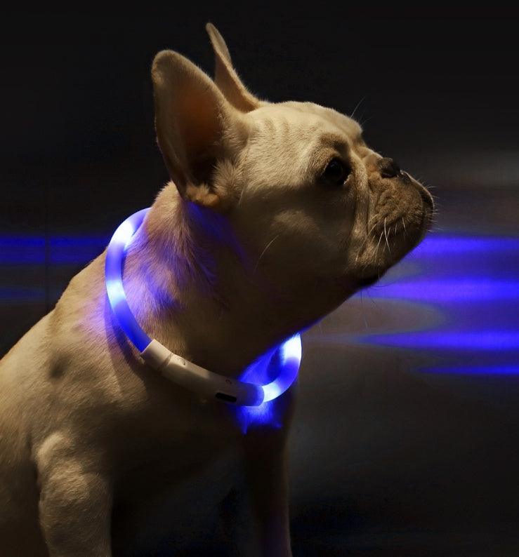 "Reflective Dog safety Collar-light the way"