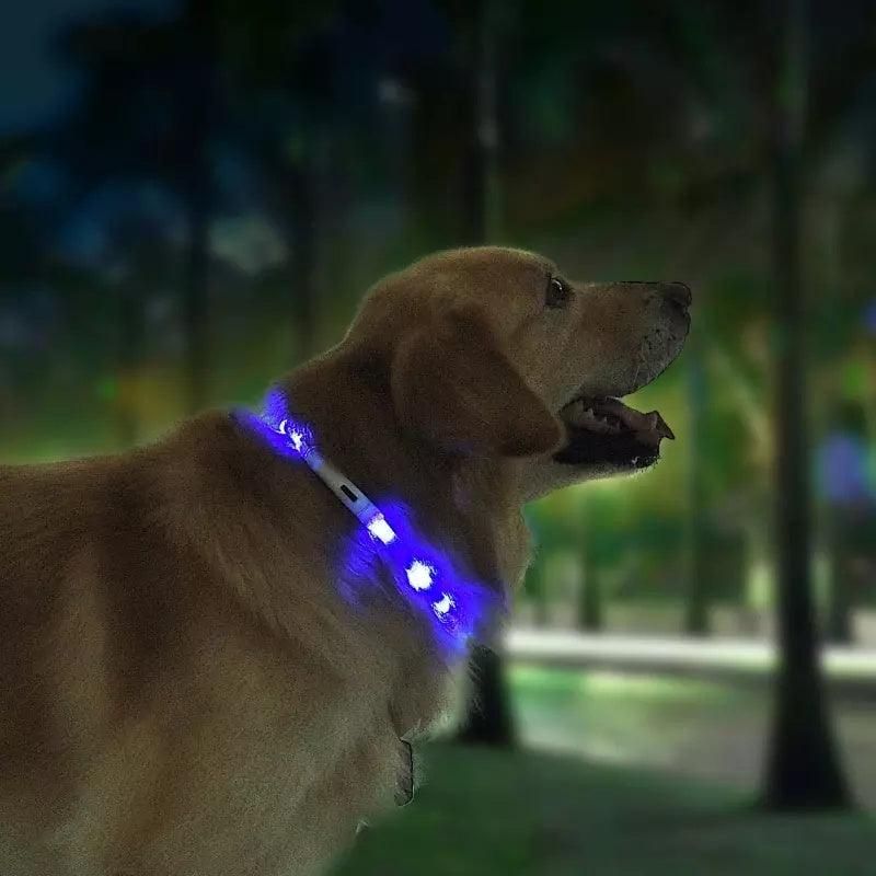 "Reflective Dog safety Collar-light the way"