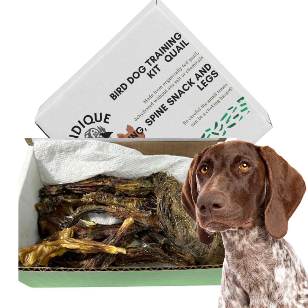 Quail Wing Dog Training Kit - Nutritious Dog Treats and Quail Wing for Effective Dog Training