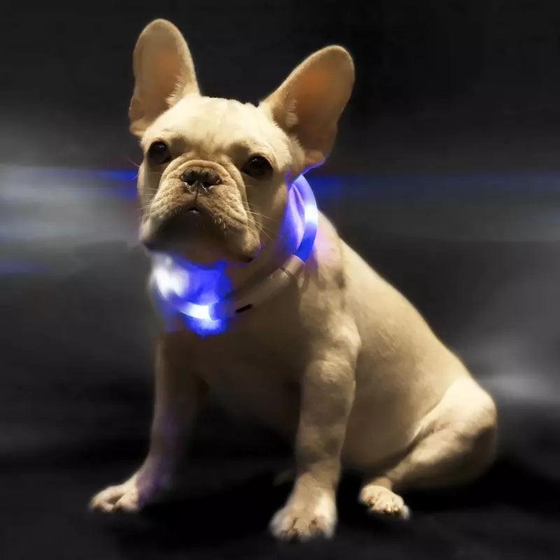 "Reflective Dog safety Collar-light the way"