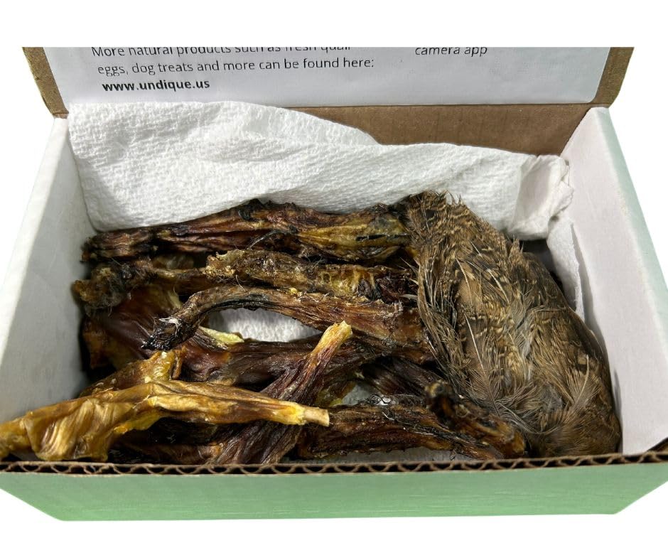 Quail Wing Dog Training Kit - Nutritious Dog Treats and Quail Wing for Effective Dog Training