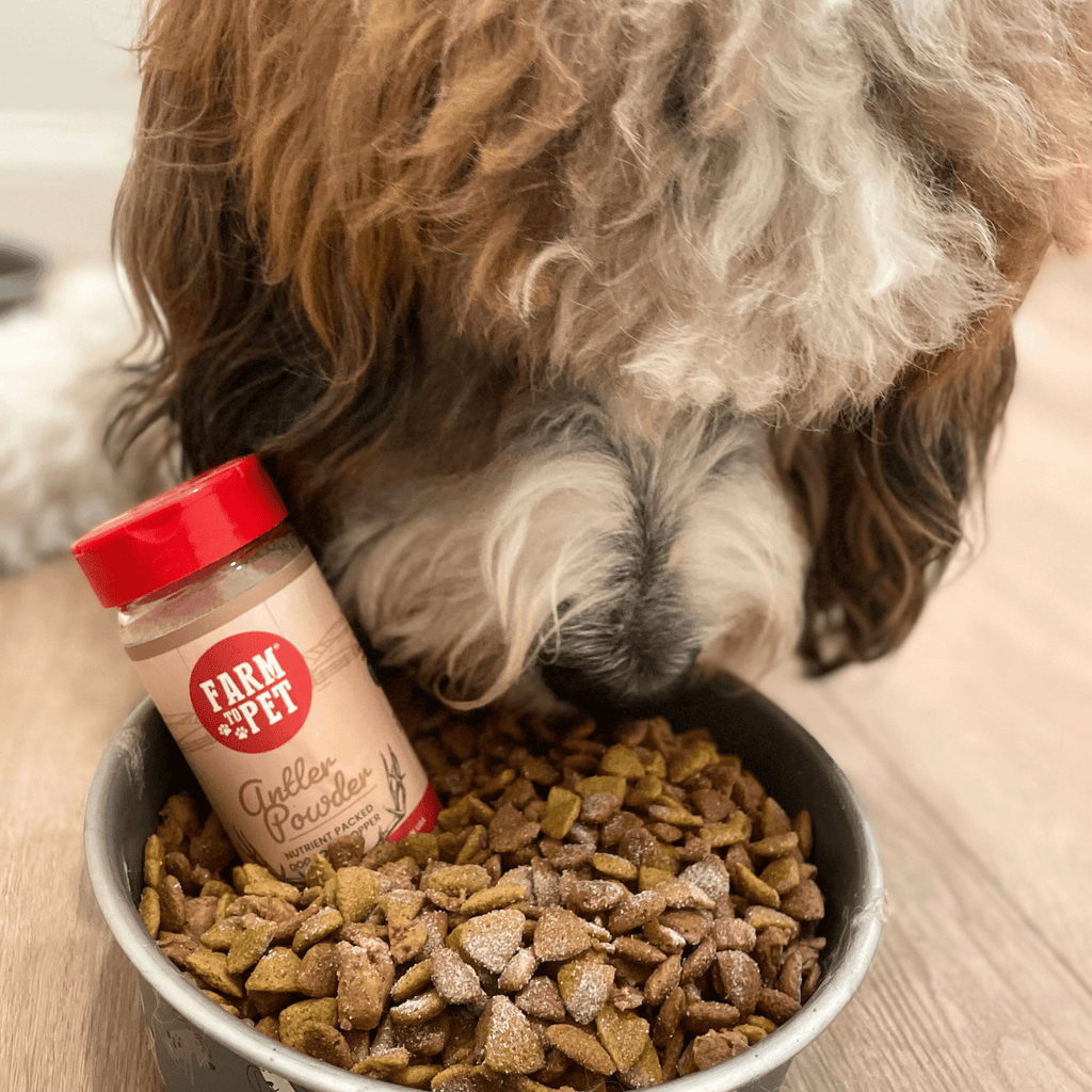 Treat Topper Antler Powder Dog Food Topper | Nutritional Supplement for Dogs and Cats