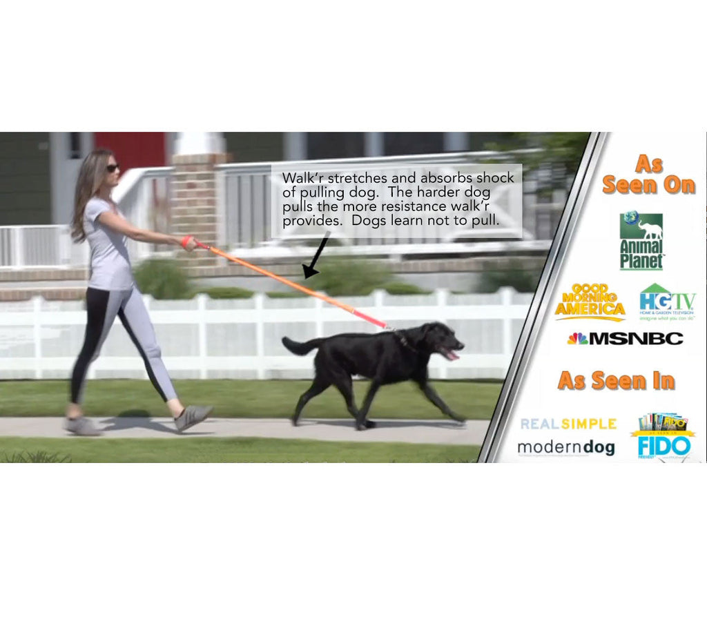 WUNDERleash by WACKYwalk’r – The Original No-Pull Dog Leash