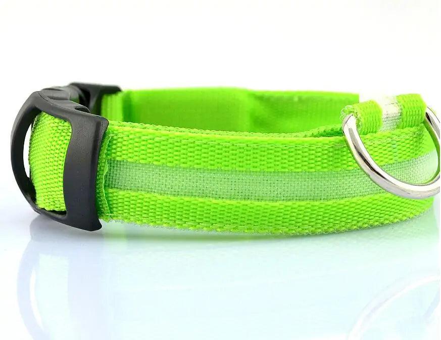 Glowing Night Safety Pet Collar