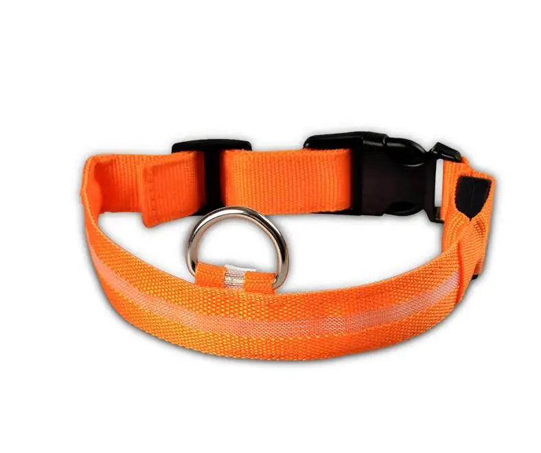 Glowing Night Safety Pet Collar