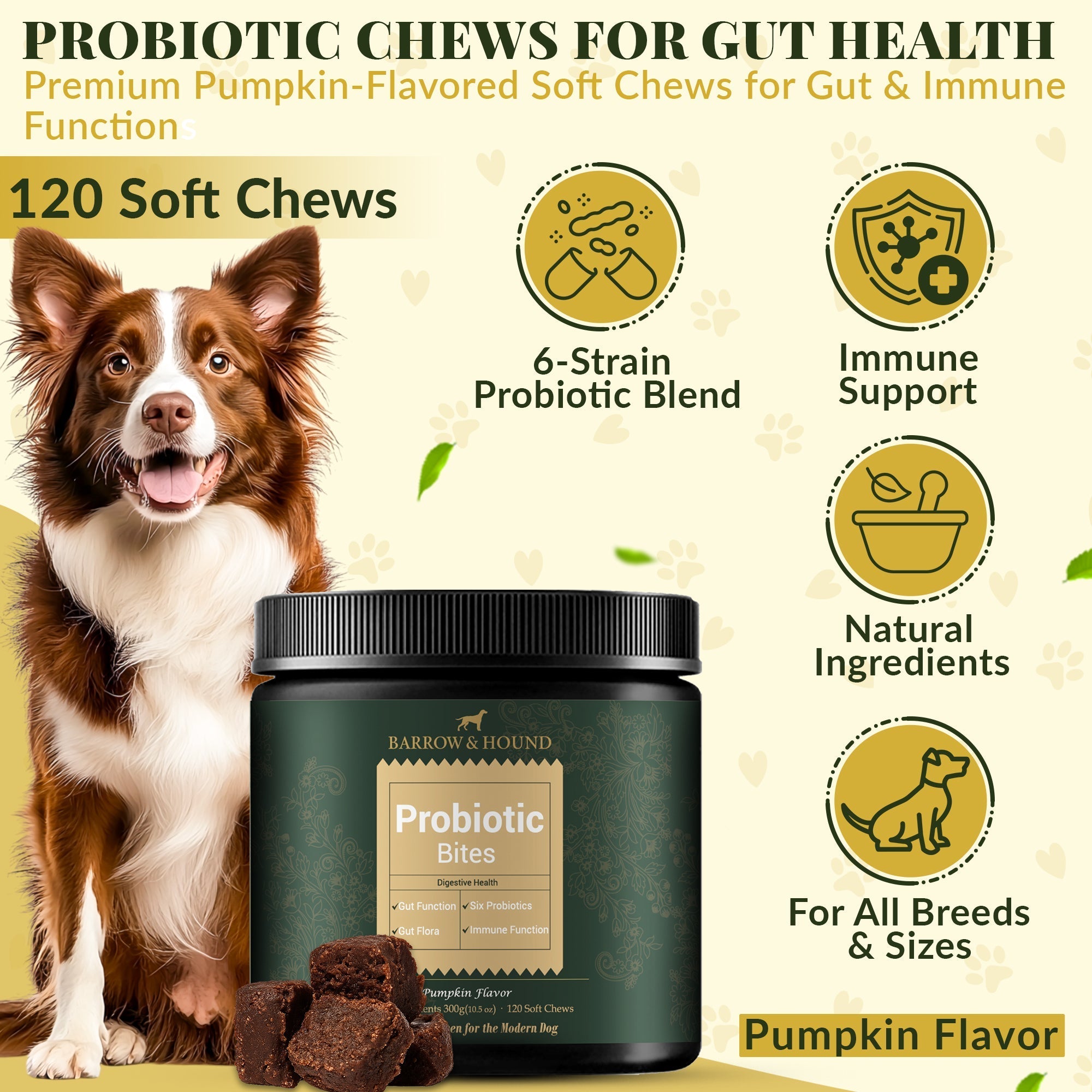 Probiotic Bites for Dogs – Gut Health & Digestive Support